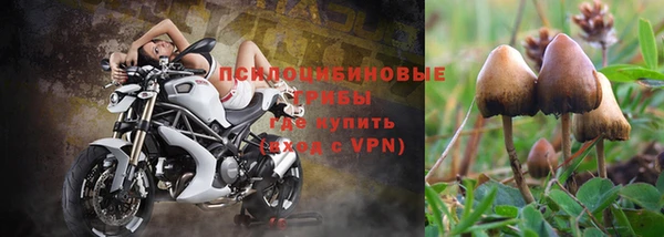 мяу мяу мука Заводоуковск