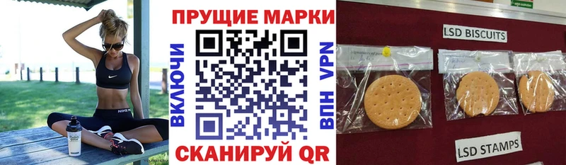 Купить закладки  Каменка  Марки 25I-NBOMe 1,5мг 