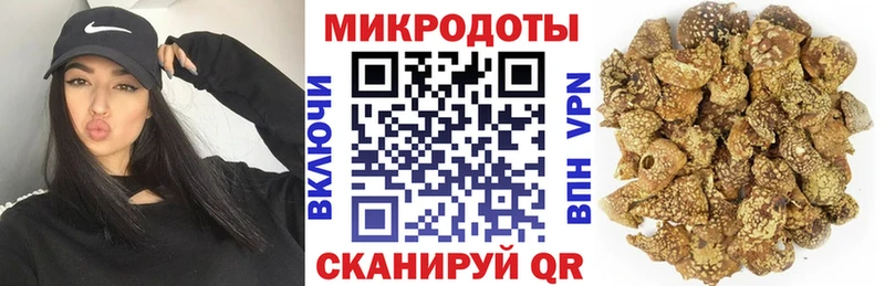 Псилоцибиновые грибы Psilocybe  Купить закладки  Каменка 